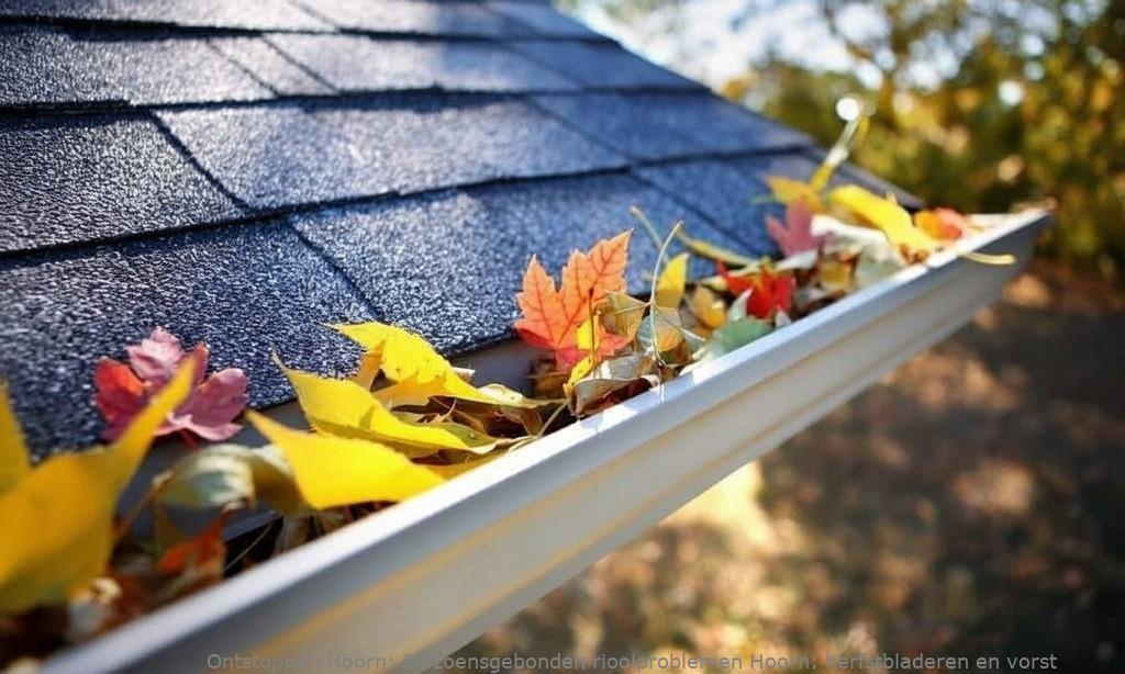 Seizoensgebonden rioolproblemen Hoorn: herfstbladeren en vorst